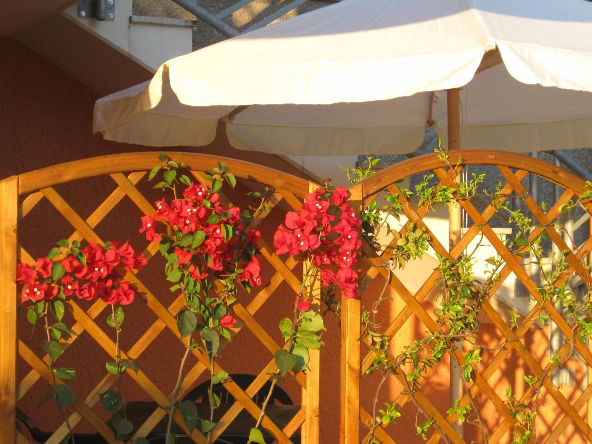 A Due Passi Dal Mare B&B Numana Luaran gambar