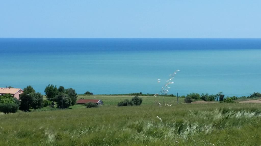 A Due Passi Dal Mare B&B Numana Luaran gambar