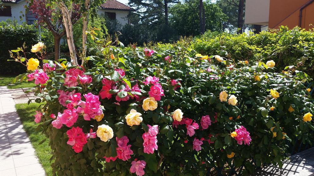 A Due Passi Dal Mare B&B Numana Luaran gambar
