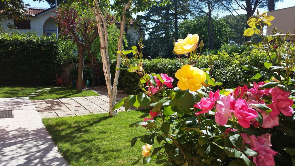 A Due Passi Dal Mare B&B Numana Luaran gambar