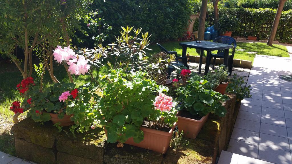 A Due Passi Dal Mare B&B Numana Luaran gambar