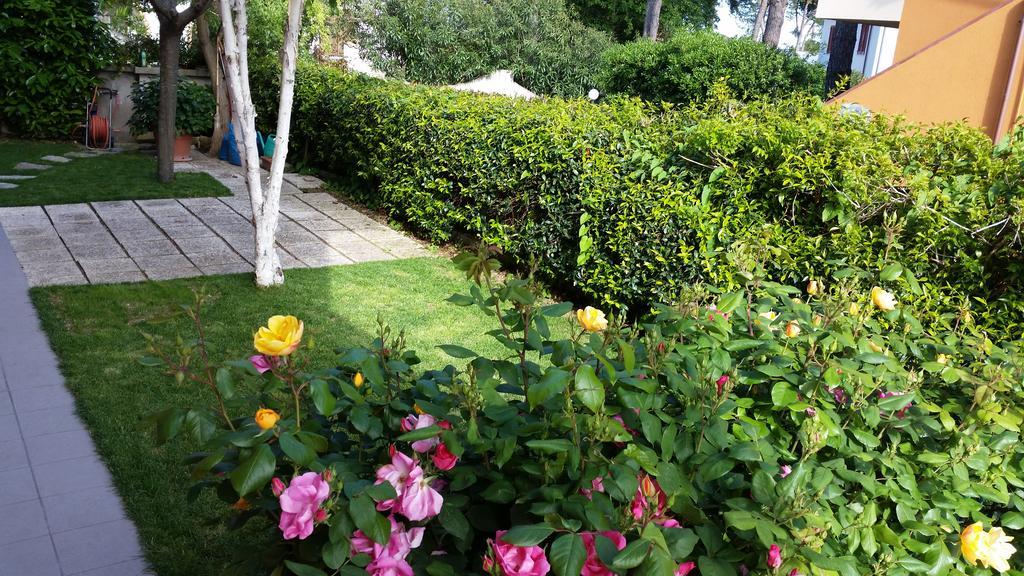 A Due Passi Dal Mare B&B Numana Luaran gambar