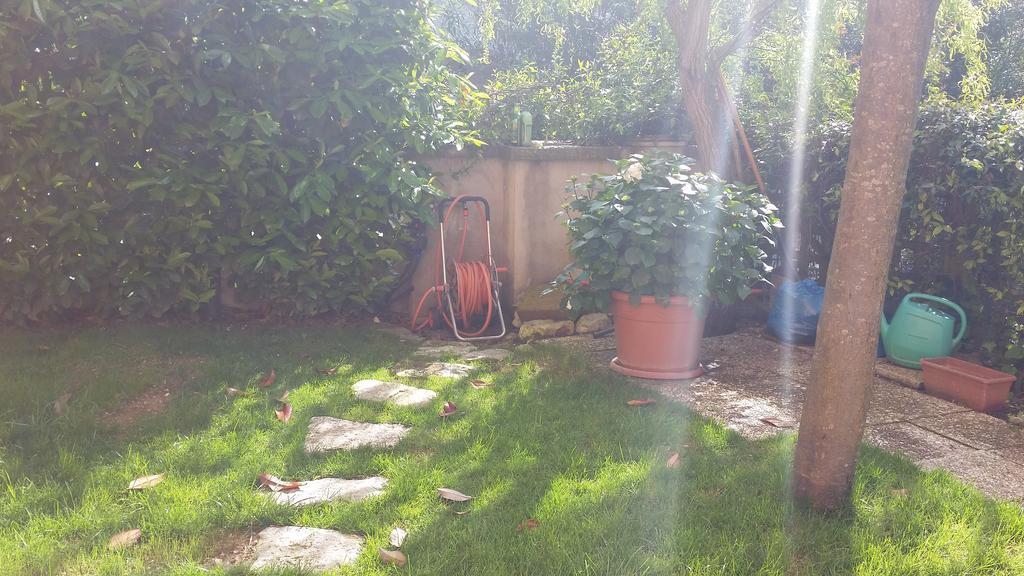 A Due Passi Dal Mare B&B Numana Luaran gambar